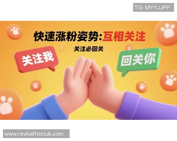 梅老板带动自媒体热潮科内利亚各平台粉丝增长突破百万大关