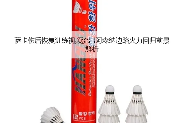 萨卡伤后恢复训练视频流出阿森纳边路火力回归前景解析